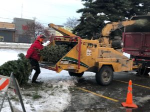 Christmas Tree Recycling in Anchorage 2019
